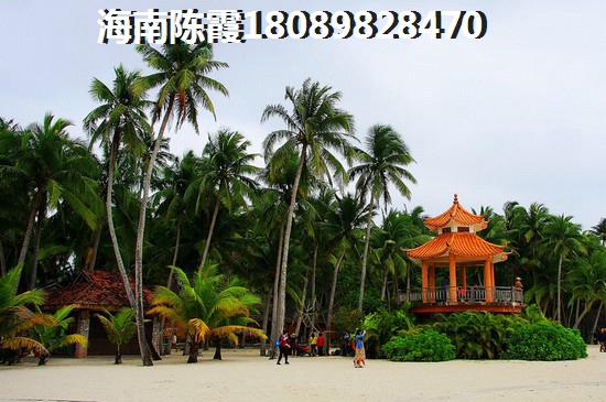 棋子灣半島陽光的房子往后會生紙嗎？