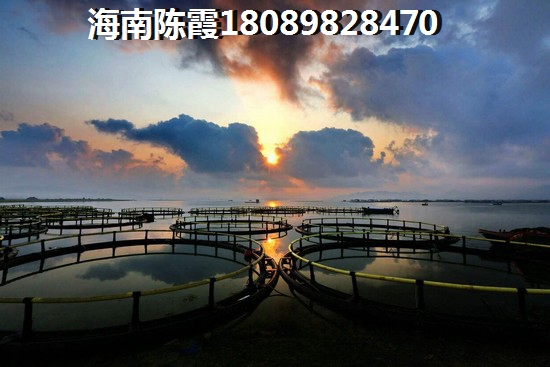 2023年東方·龍灣房價是上升還是下降