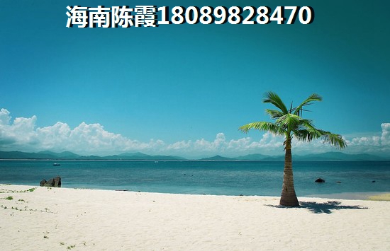 金暉·夢鄉(xiāng)緣交通狀況介紹~