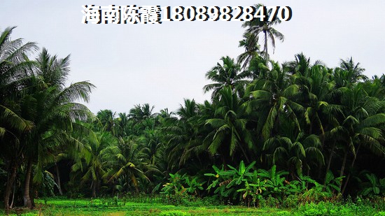 瓊海市常年潮濕嗎？百達(dá)萬(wàn)泉騎樓印象跟<font color=red>美林湖國(guó)際社區(qū)</font>哪個(gè)便宜？