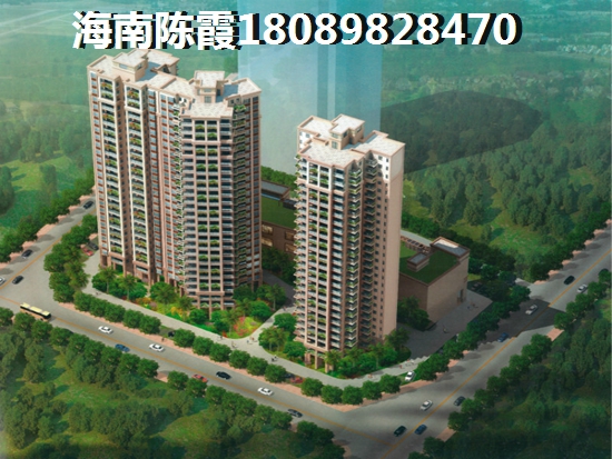 海南什么地段的房子有生紙空間