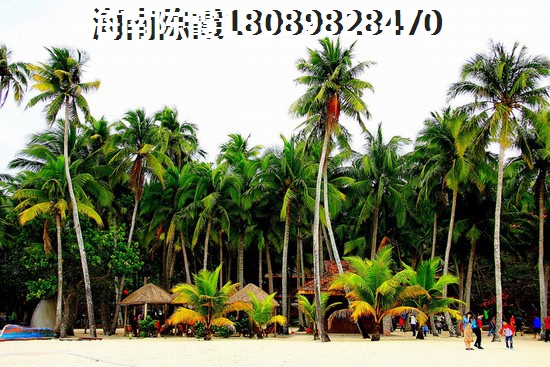 海口氣候環(huán)境怎么樣？魯能釣魚臺(tái)美高梅對(duì)比<font color=red>海南臻園</font>房價(jià)走勢(shì)2025！