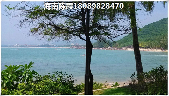 海南九所鎮氣候醉好的地方，九所對比吉陽區哪個便宜？